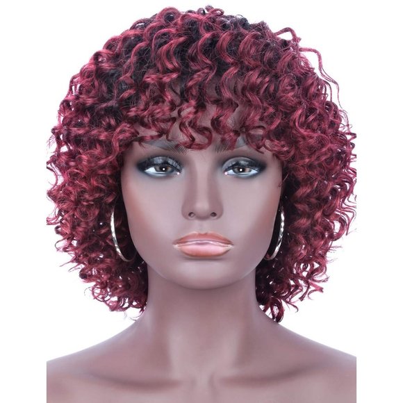Kinky Curly Brazilian Human Hair Wigs